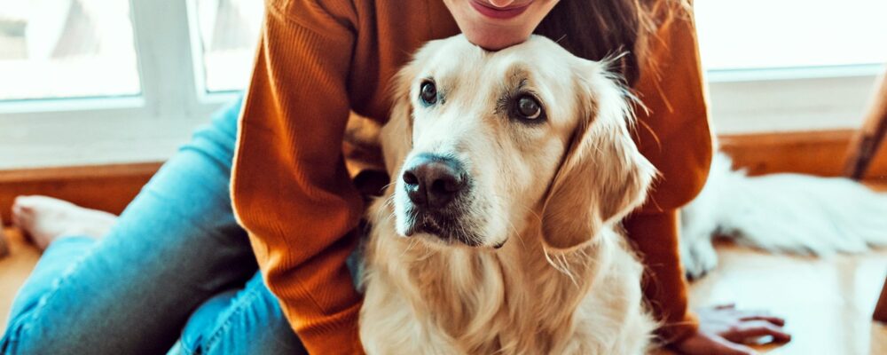 Care Guidelines For Your New Furry Family Member