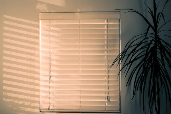 Why Window Blinds are a Must-Have for Every Home?